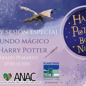 El Mundo Mágico de Harry Potter