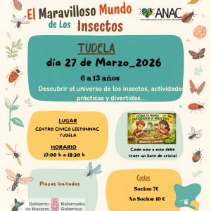TUDELA_TALLER DE INSECTOS_6 a 13 años