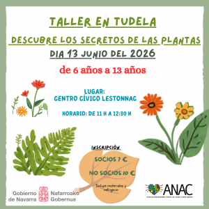TUDELA_TALLER SOBRE LAS PLATAS_6 a 13 años